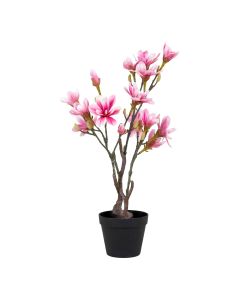 Dirbtinė magnolija – žalia / rožinė