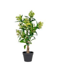 Dirbtinis augalas „Skimmia Tree“ – žalia