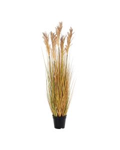 Dirbtinė dekoratyvinė žolė „Sorghum“ – natūrali
