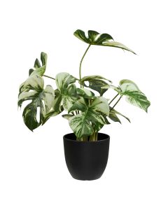 Dirbtinė monstera – žalia